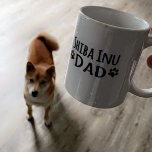 Meet your Posher, Derek